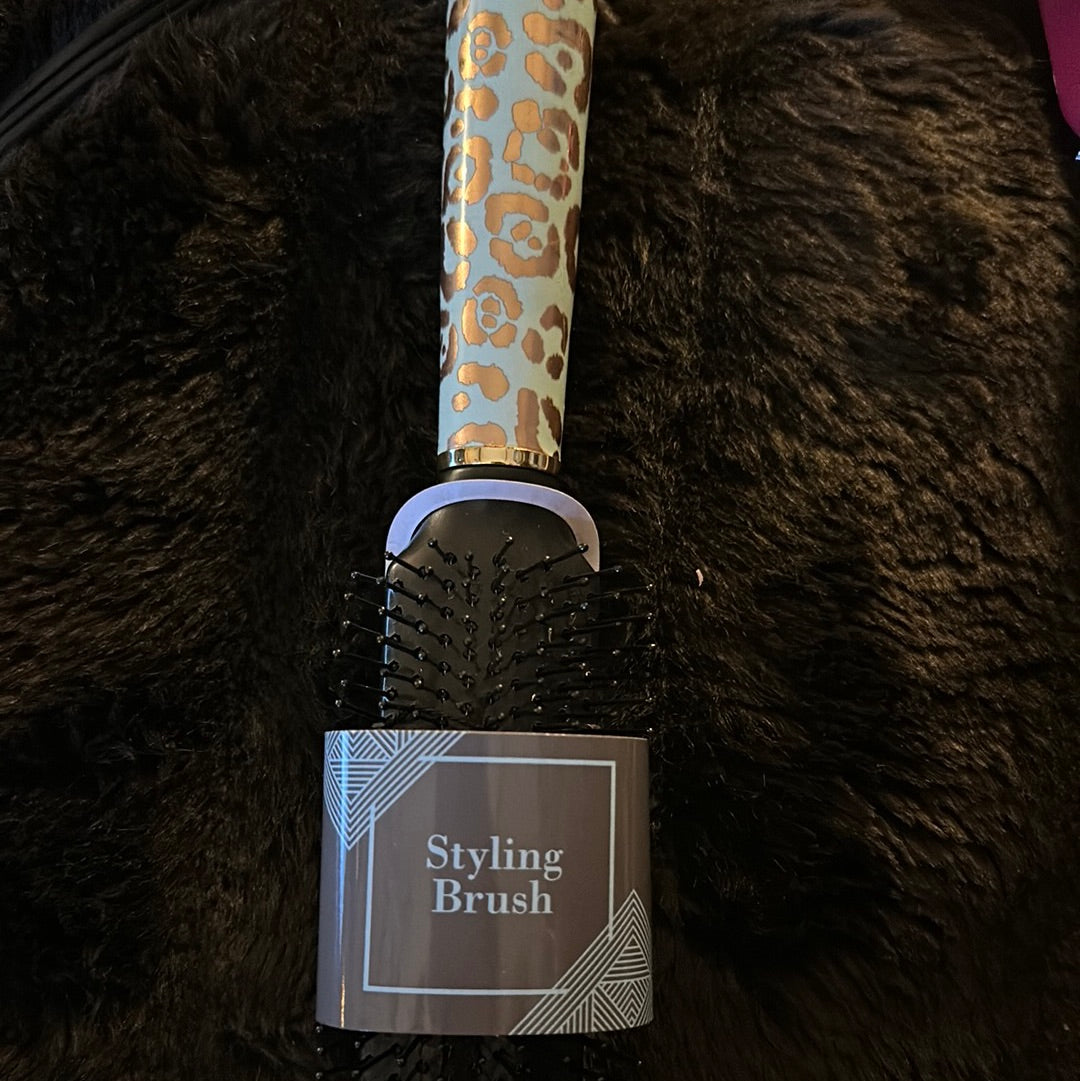 Hair Brush