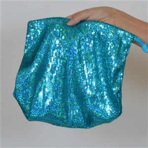 B315B Sequin Money Bag-The Edge OK