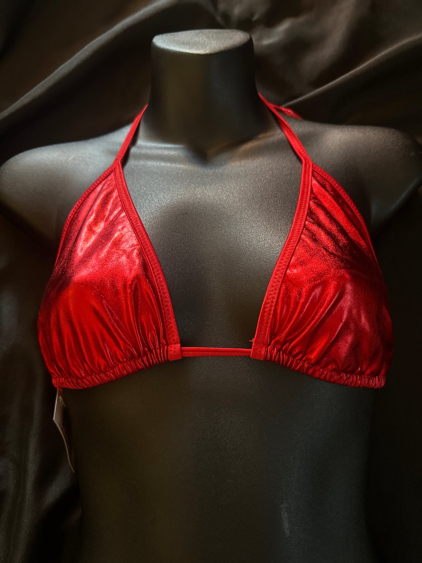 1038L Large Bikini Top-The Edge OK