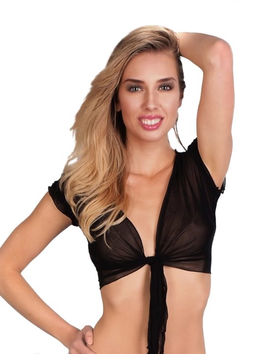 Sheer Crop Top