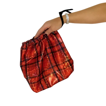 Plaid Money Bag