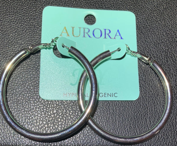 Hypo Allergenic Hoop Earrings-The Edge OK